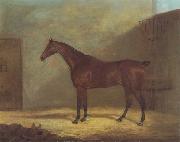 A Chestnut Hunter With A Groom By a Building John Boultbee